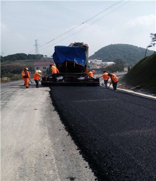 龍泉龍雷路